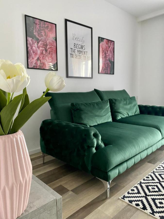 Velvet Studio Târgu-Mureş Екстериор снимка